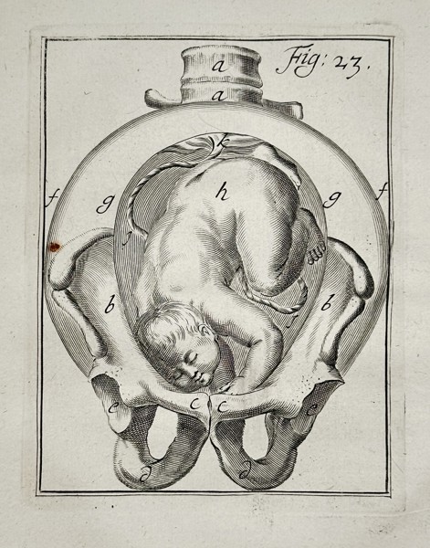 Philibert Bouttats (c. 1650–1731) – The Fetus in Utero, Figure 23 – Engraving (c. 1718)