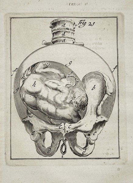 Philibert Bouttats (c. 1650–1731) – The Fetus in Utero, Figure 21 – Engraving (c. 1718)