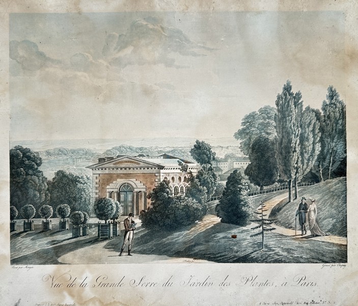 Antoine Pierre Mongin (1761–1827) – View of the Great Greenhouse of the Jardin des Plantes – Aquatint engraving with hand-coloring (Early 19th Century)