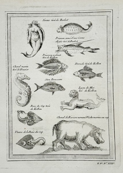 Antoine François Prévost d'Exiles (1697–1763) – Illustrations of Marine Animals and Mythological Sea Creatures from a General History of Voyages – Engraving (c. 1750)