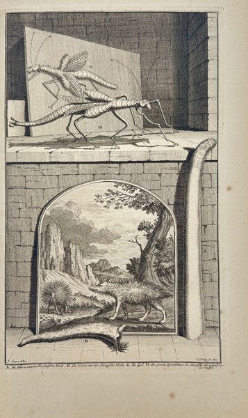 François Valentijn (1666–1727) – Stick Insects and Porcupines from the East India