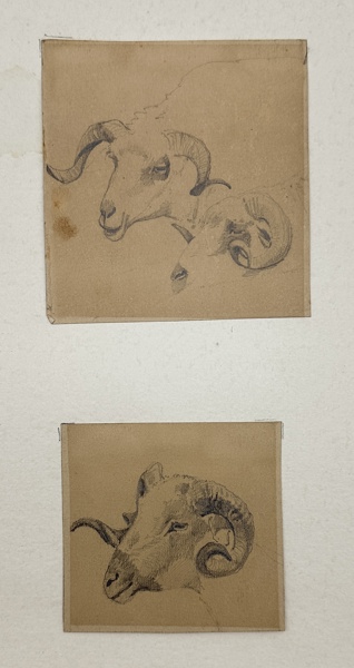 Joseph Heinrich Ludwig Marr (1807-1871) - Set of 2 pencil drawings - Ram / Sheep