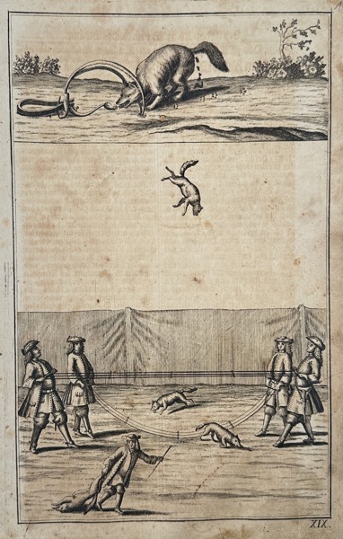 Johann Friedrich von Flemming (1670–1733) – Hunting and Trapping Scenes: Fox Gin and Formal Capture – Copperplate engraving (c. 1719–1749)