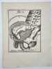 Hendrik van Deventer (1657–1724) - Fetus Presentation in the Pelvis - Copperplate Engraving (Early 18th Century)