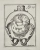 Hendrik van Deventer (1657–1724) - Vertex Fetus Presentation - Copperplate Engraving (Early 18th Century)