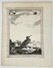 Pierre Quentin Chedel (1705–1762) - Fishing Bird from the South Seas - Copperplate Engraving (Mid-18th Century)