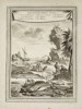 Pierre Quentin Chedel (1705–1762) - Fish of Sierra Leone and Coastal Scene - Copperplate Engraving (Mid-18th Century)