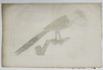 Jean Piron (Active 1790s) - New Caledonian Magpie (Pie de la Nouvelle Calédonie) - Copperplate Engraving (Late 18th Century)