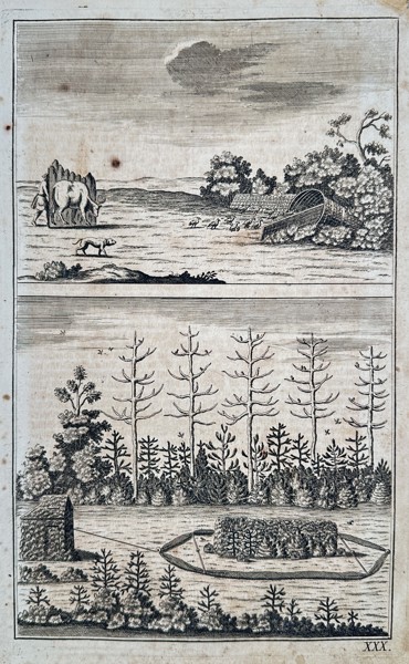 Hans Friedrich von Fleming (1670–1731) - Owls and Corvids (Kauz, Krähe, Aelster) - Copperplate Engraving (Early 18th Century)