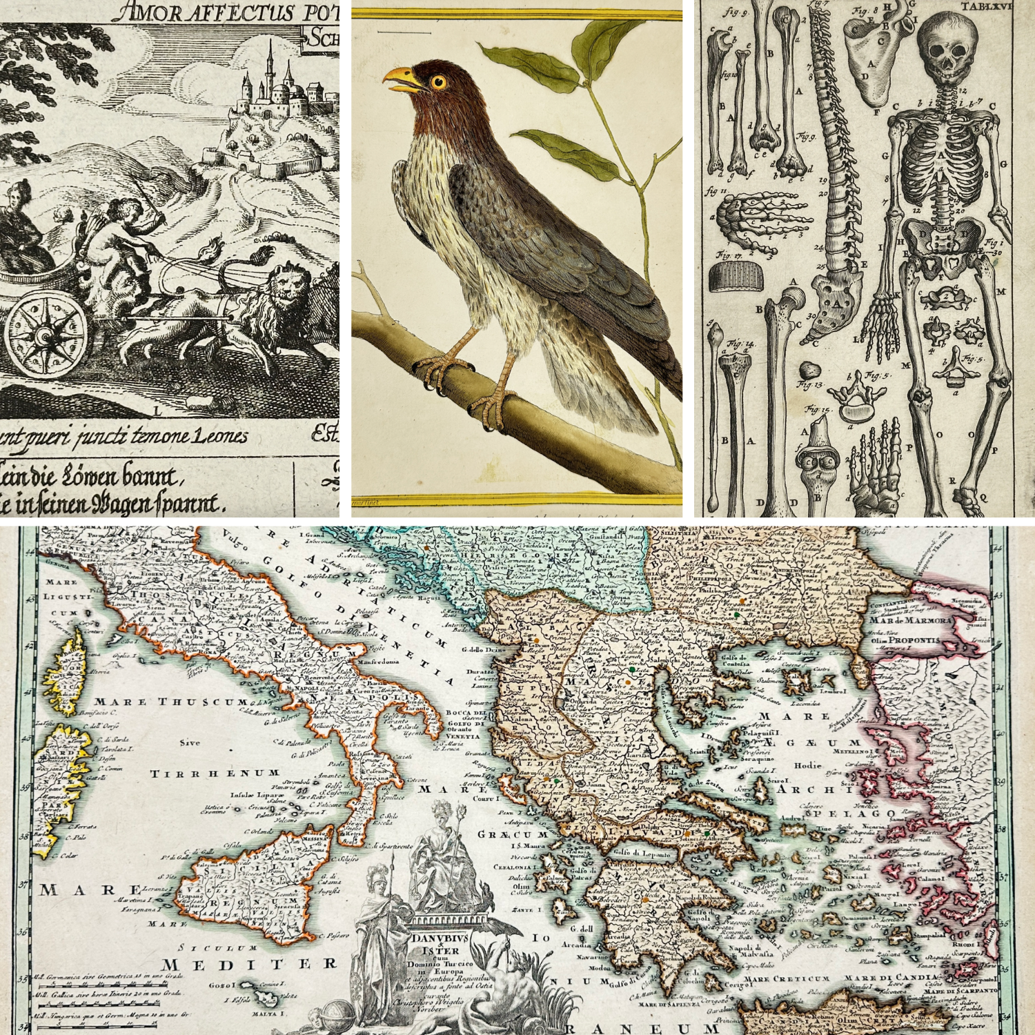 Fine Art. Antique Prints, Maps and Drawings / 26-07-2025, 18:00 CET