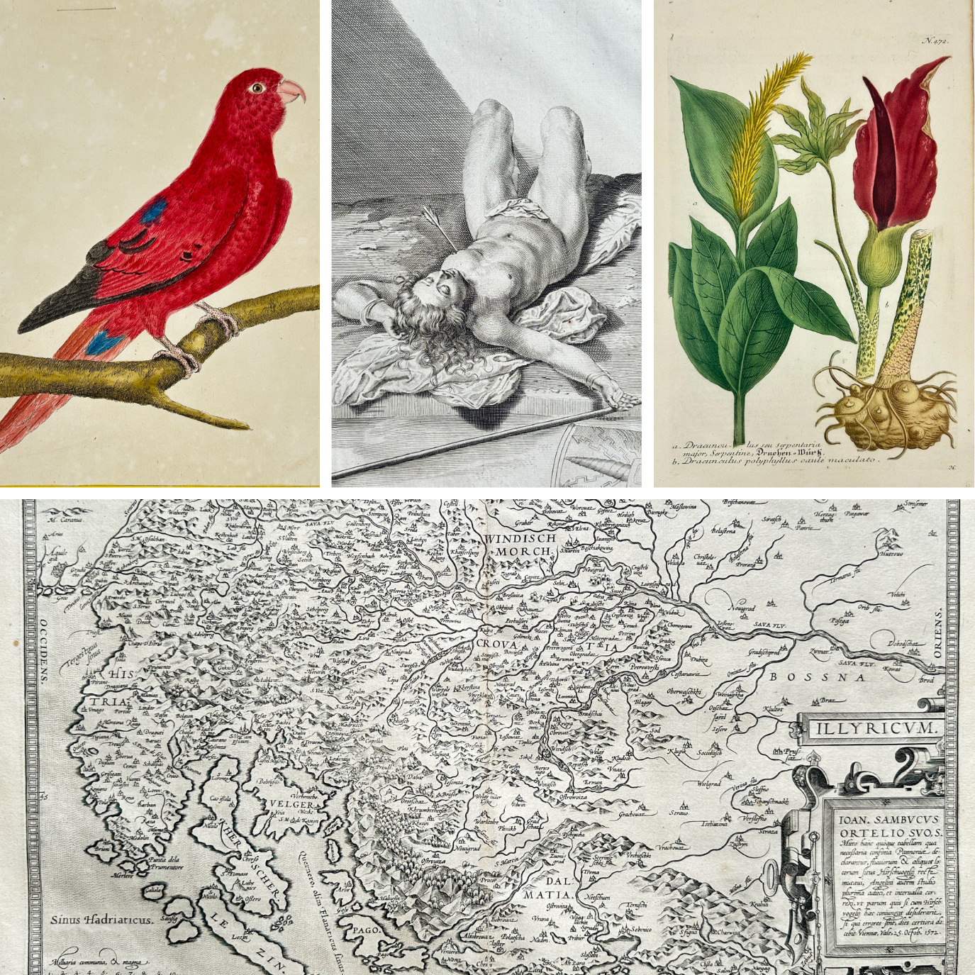  Fine Art. Antique Prints, Maps and Drawings / 02-08-2025, 18:00 CET