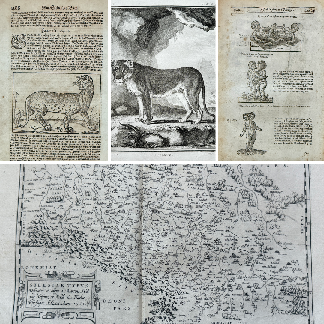 Fine Art. Antique Prints, Maps and Drawings / 23-08-2025, 18:00 CET