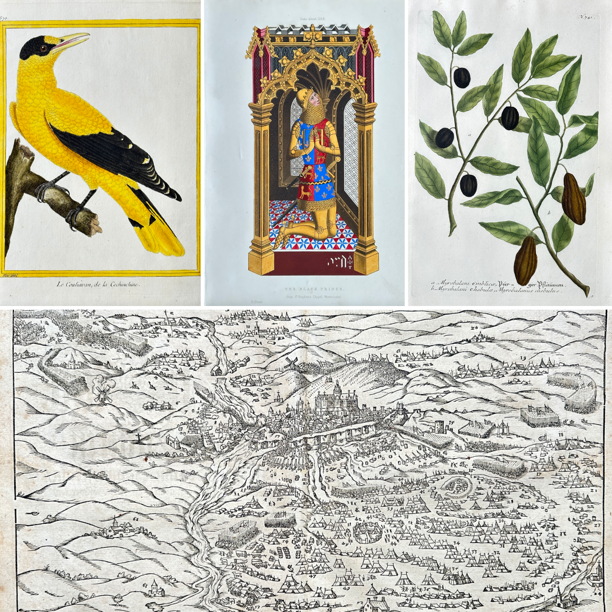 Fine Art. Antique Prints, Maps and Drawings / 04-10-2025, 18:00 CET