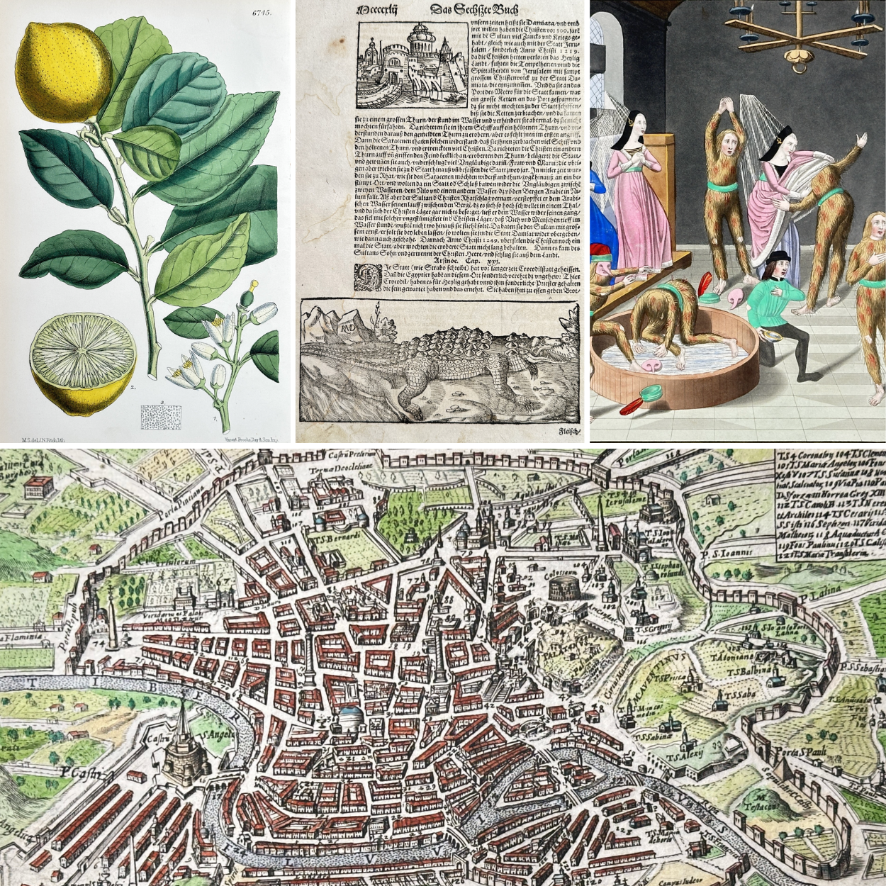 Fine Art. Antique Prints, Maps and Drawings / 11-10-2025, 18:00 CET