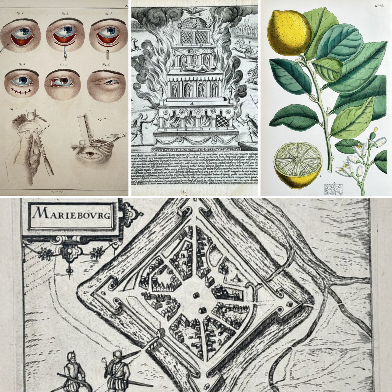 Fine Art. Antique Prints, Maps and Drawings / 10-01-2026, 18:00 CET