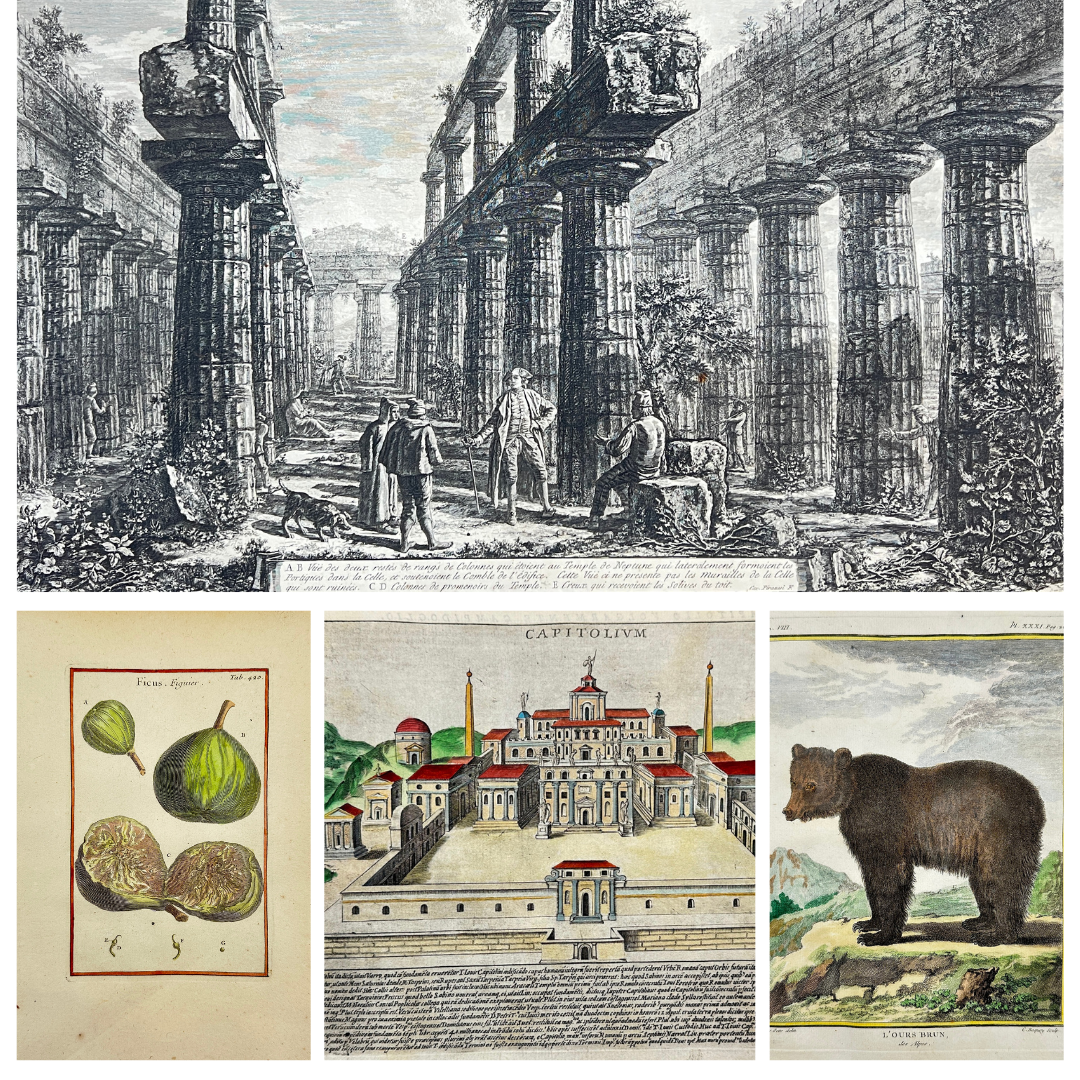 Fine Art. Antique Prints, Maps and Drawings